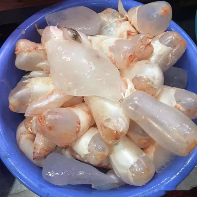 魚身上「最精華」的3個部位，魚販子都留下自己吃，比魚翅還珍貴