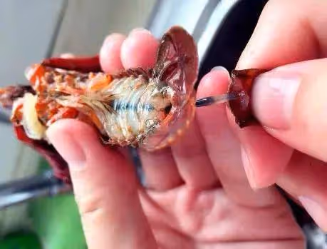 清洗小龍蝦不用挨個刷了，只需2樣東西泡一泡，乾淨衛生吃得放心