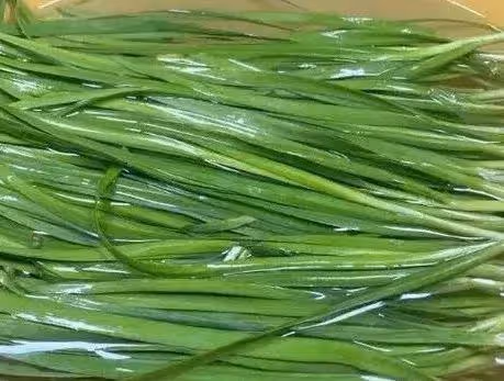 韭菜餃子的靈魂是調餡，掌握2個技巧，韭菜翠綠不出水，皮薄餡大