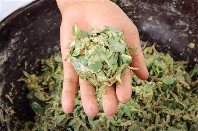 馬齒莧這個做法太好吃了，不炒不涼拌，一次做一盆不夠吃，真香