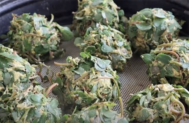 馬齒莧這個做法太好吃了，不炒不涼拌，一次做一盆不夠吃，真香