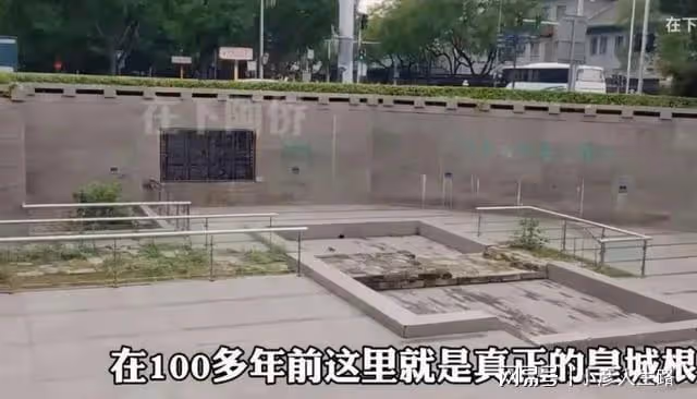 王艷曬貓無意暴露豪宅,可以俯瞰故宮,面積有兩千平!