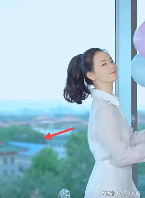 王艷曬貓無意暴露豪宅,可以俯瞰故宮,面積有兩千平!