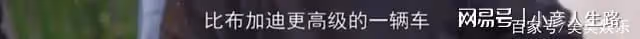 王艷曬貓無意暴露豪宅,可以俯瞰故宮,面積有兩千平!
