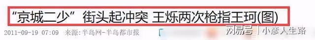 王艷曬貓無意暴露豪宅,可以俯瞰故宮,面積有兩千平!