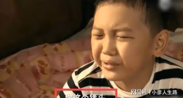 王艷曬貓無意暴露豪宅,可以俯瞰故宮,面積有兩千平!