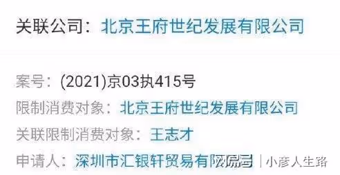 王艷曬貓無意暴露豪宅,可以俯瞰故宮,面積有兩千平!