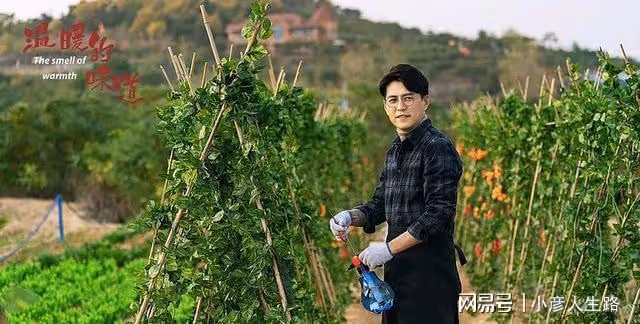 中國導演們,求你們學學《幸福到萬家》鄭曉龍是怎麼拍農村劇的吧