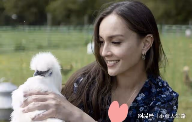 洗米嫂疑陷困局?引以為傲的頭銜被撤富貴難保,讓劉碧麗看了笑話