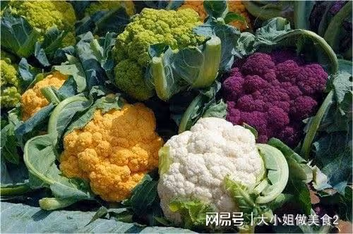 減肥常吃的十大蔬菜熱量排名，經常吃的它才排第十