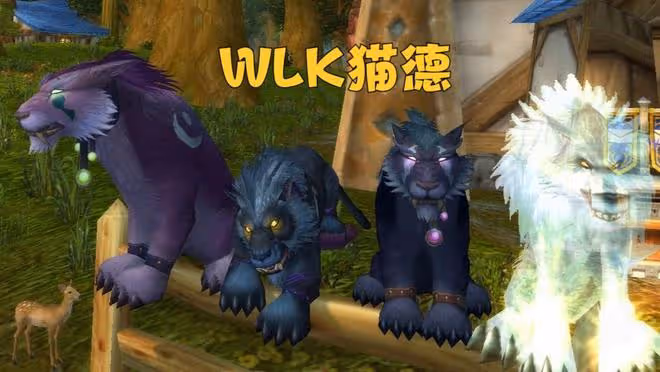 魔獸TBC:版本末期最尷尬專精,不要工資也沒人組,80級逆襲成T1