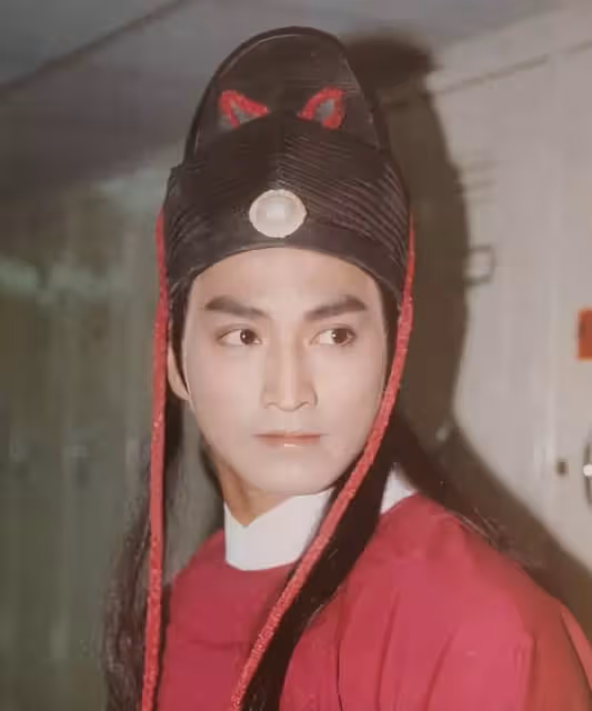 年過60「無兒無女」的7位明星,獨居遺憾,億萬身家沒子女繼承