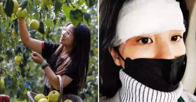 女子跑到同事家果園摘梨吃，不慎被落梨砸中眼睛，向同事索賠13萬，他委屈：朋友還能做嗎