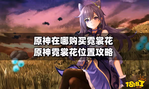 原神在哪購買霓裳花 原神霓裳花位置攻略