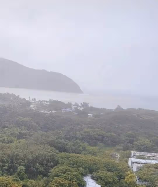 姚芊羽遇12級颱風被困三亞,道路全封點外賣難,無存糧靠水果度日