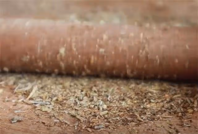 陝西特色鍋盔的家常做法，又圓又厚又大，越嚼越香，太好吃了