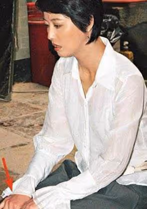 周海媚：我試過5個男人同時追我，但不想結婚！55歲年老拍戲治病寒酸，直言「完全沒有必要」生小孩