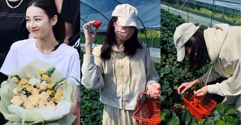 迪麗熱巴曬摘草莓照片！一身休閒裝活力十足，全程不露臉氣質難掩
