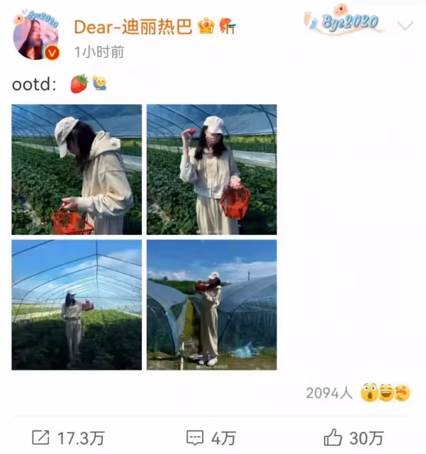 迪麗熱巴曬摘草莓照片!一身休閒裝活力十足,全程不露臉氣質難掩