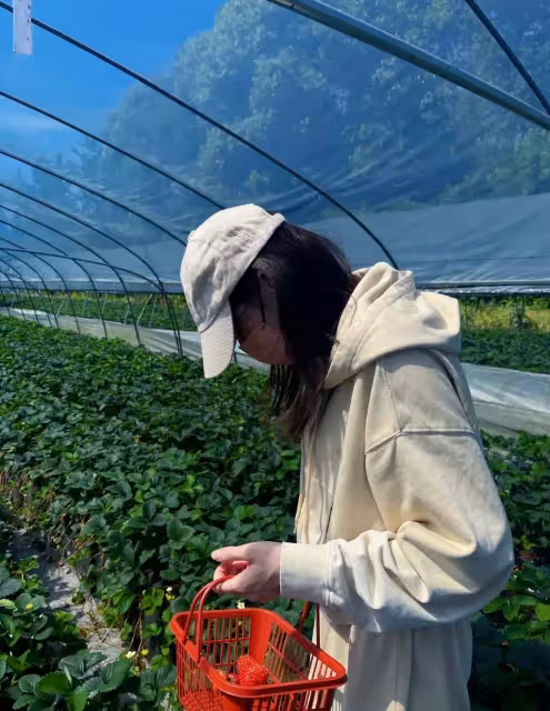 迪麗熱巴曬摘草莓照片!一身休閒裝活力十足,全程不露臉氣質難掩
