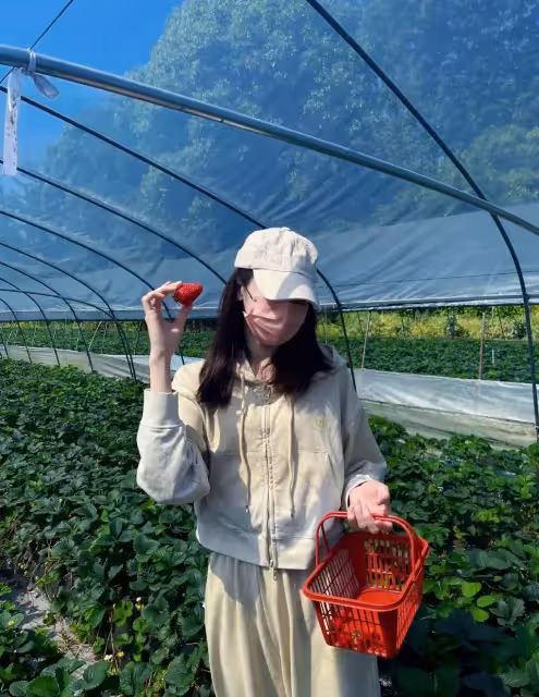 迪麗熱巴曬摘草莓照片!一身休閒裝活力十足,全程不露臉氣質難掩