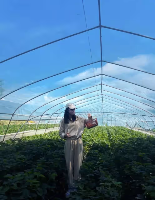 迪麗熱巴曬摘草莓照片!一身休閒裝活力十足,全程不露臉氣質難掩