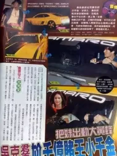 何超蓮:一隻貓頂一套房,花園比公園還大,坐擁500億還覺得窮