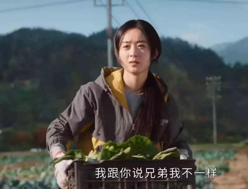 趙麗穎新劇沒讓人失望,導演拍出了真正的女性群像!