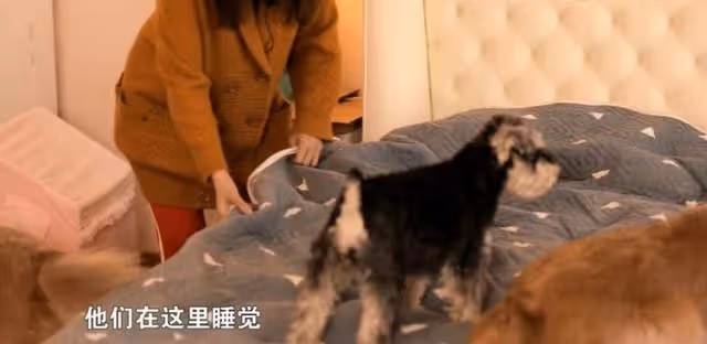 生活自在!55歲知名港星定居北京20年,住萬尺別墅享受單身生活