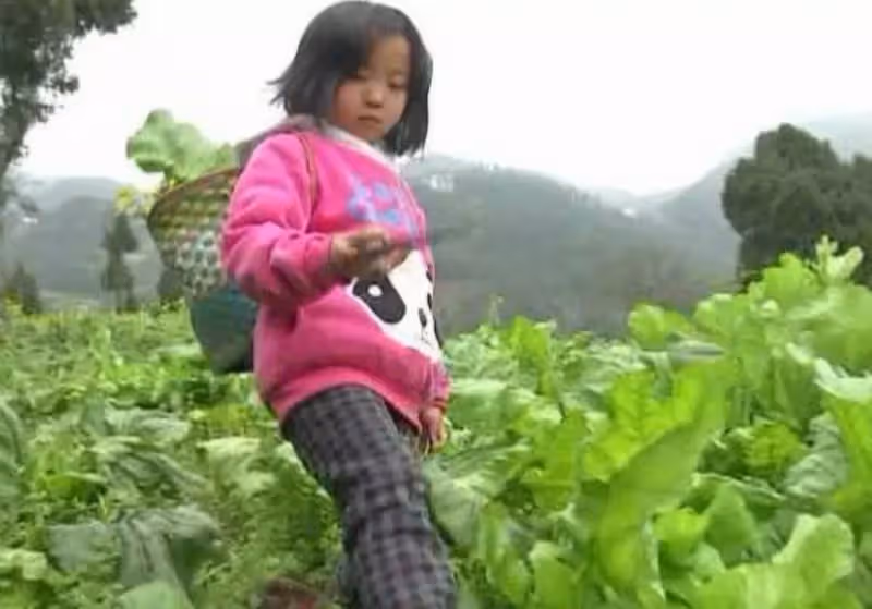 心酸！當你的孩子還在撒嬌時，這名5歲小女孩已經扛起了一個家，想起媽媽眼淚打轉，惹阿嬤鼻酸：無法實現