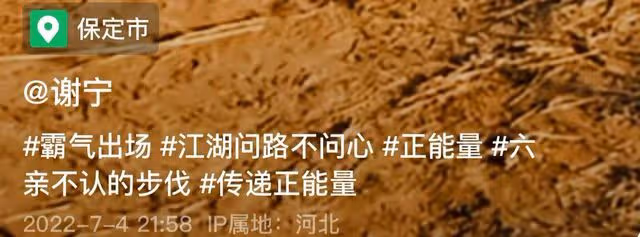 49歲謝寧轉行組建築隊,身後站多位建築工人,挺大肚腩被稱包工頭