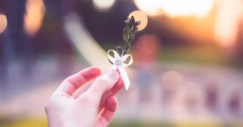 20萬彩禮沒陪嫁回來，小舅結婚岳母再要20萬，女婿：把你女兒帶走