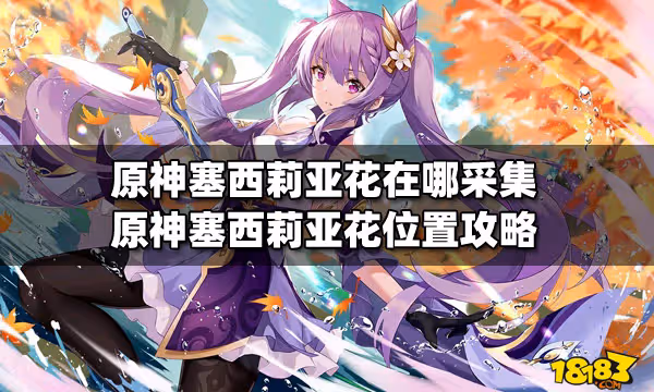 原神塞西莉亞花在哪採集 原神塞西莉亞花位置攻略