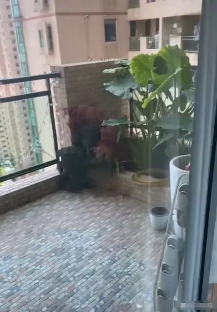 李立群首曬台灣老家!秀10萬沉香木屋內滿是古董,50年古董當凳子