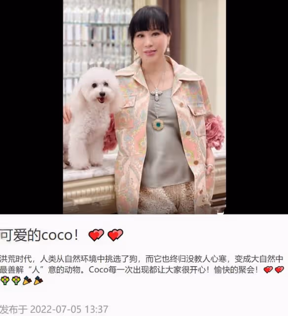 李念參加香港闊太聚會!腰間掛萬元包太時尚,呂良偉妻子大秀身材
