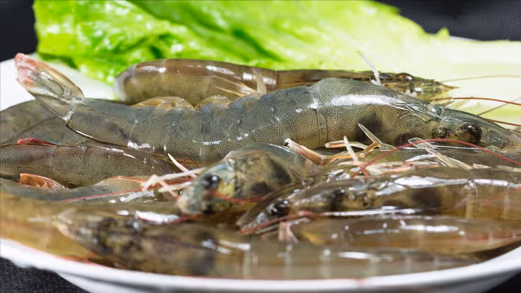 天熱不想進廚房，試試這5道懶人美食，不費勁不流汗，全家都愛吃