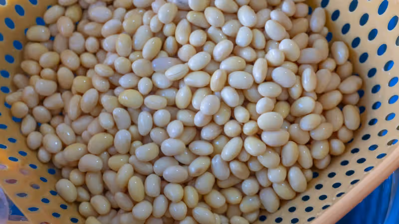 天熱孩子食欲不振，推薦8道家常菜，好吃又下飯，上桌孩子就吃光