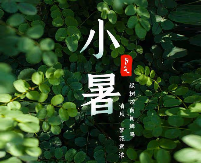 明日小暑，記得吃3寶，喝3茶，忌3事，調整飲食，三伏天順利過