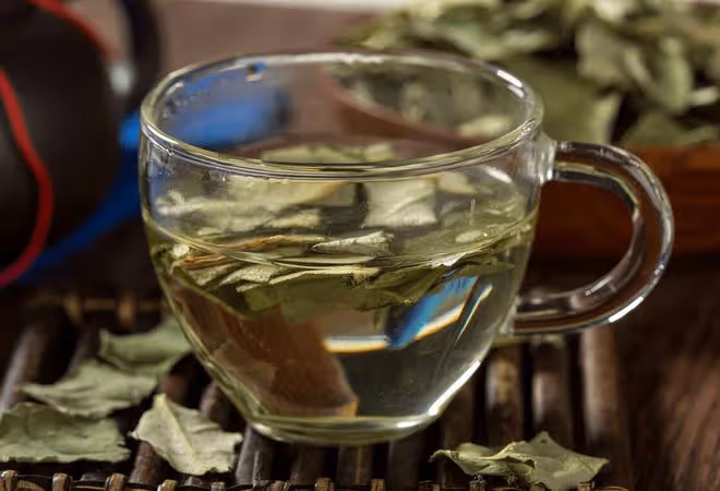 明日小暑,記得吃3寶,喝3茶,忌3事,調整飲食,三伏天順利過