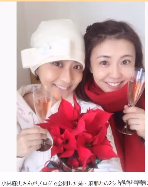 小栗旬醜聞反映了日本名流人妻之困:犧牲是自願的,活下來看命