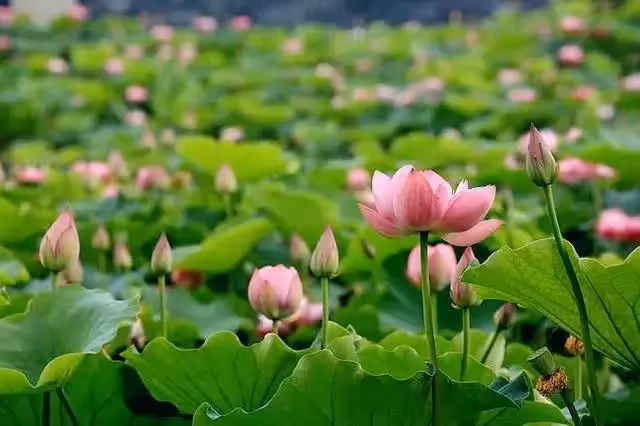 我兒買的房,我女兒憑什麼不能住?兒媳:房子一半的首付款還給我