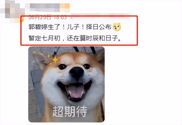曝郭碧婷北京二胎生子!向佐手拿月子期靠墊現身,全程陪產太體貼