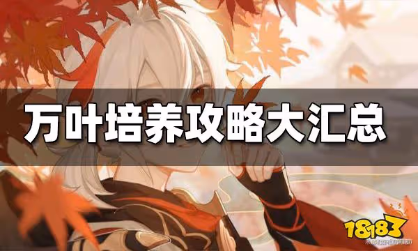 原神萬葉培養攻略大匯總 萬葉培養攻略合集