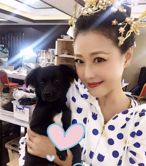 周海媚近況曝光!定居北京住萬尺豪宅,上節目炮轟TVB太摳門