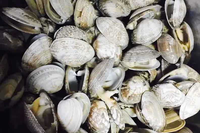 明日小暑，要學會忌嘴，不吃「2樣」，多食「3菜2瓜」，平安度夏
