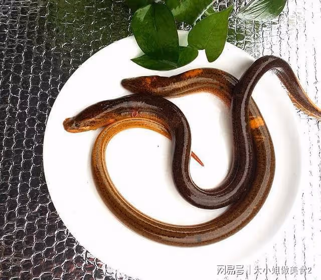 今日小暑,記得吃「小暑三寶」,順時而食,安穩度夏