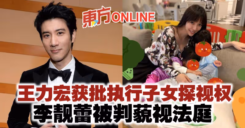 王力宏獲批執行子女探視權　李靚蕾被判藐視法庭