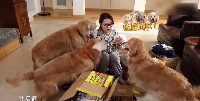 55歲周海媚炮轟TVB太摳門,四五天不給洗澡,現定居北京住豪宅