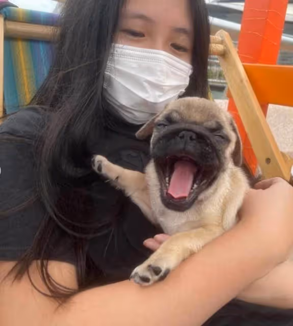 邱淑貞小女兒時隔3年再出鏡!出落得亭亭玉立,長相甜美可人,網友:越來越像媽媽