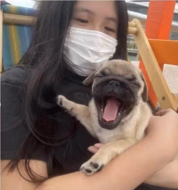 邱淑貞小女兒罕見露面,穿短褲秀大長腿,素顏出鏡五官與媽媽相似